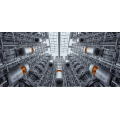 Neal Scryer – IMMOBILIZED Neal Scryer – IMMOBILIZED