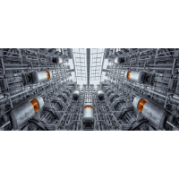 Neal Scryer – IMMOBILIZED