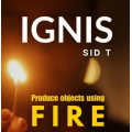 IGNIS by Sid T IGNIS by Sid T