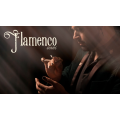 Flamenco Coins by Brendan Rodrigues Flamenco Coins by Brendan Rodrigues