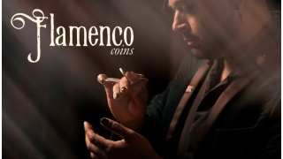 Flamenco Coins by Brendan Rodrigues