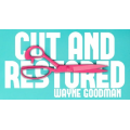 Wayne Goodman - Cut And Restored Rope Wayne Goodman - Cut And Restored Rope