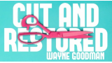 Wayne Goodman - Cut And Restored Rope