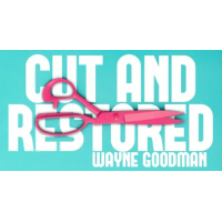 Wayne Goodman - Cut And Restored Rope