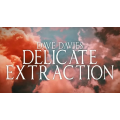 Dave Davies - Delicate Extraction Dave Davies - Delicate Extraction