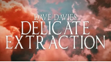 Dave Davies - Delicate Extraction