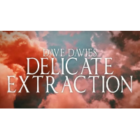 Dave Davies - Delicate Extraction