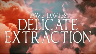 Dave Davies - Delicate Extraction