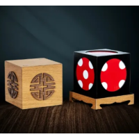 Fun Cube by Tora Magic Company