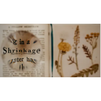 Matthew Dowden - Shrinkage