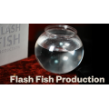 Flash Fish Production by LT Magic Flash Fish Production by LT Magic