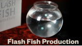 Flash Fish Production by LT Magic