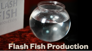 Flash Fish Production by LT Magic