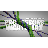 Wayne Goodman – Linking Loops