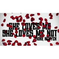 Think Nguyen – She Loves Me, She Loves Me Not