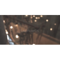 Card Tempos Bundle by Paul Robaia