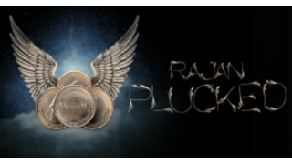 Rajan - Plucked