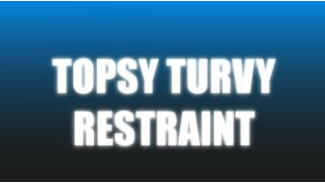 Topsy Turvy Restraint by Craig Petty - 2024