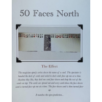 50 Faces North by Shane Cobalt