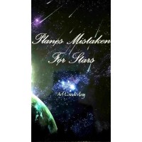 Planes Mistaken For Stars by Art Vanderlay