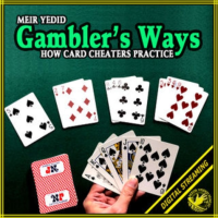 Meir Yedid - Gambler's Ways