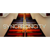 Synchronicity by Adam Dadswell