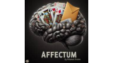 Mohamed Ibrahim - Affectum