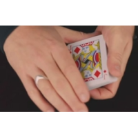 Adam Wilber - Invisible Card