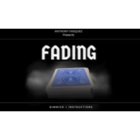 Anthony Vasquez – Fading