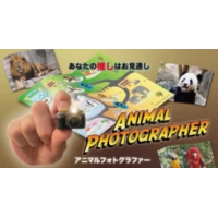 Proma – Animal Photographer
