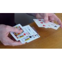 Steven Bridges - Spark Transposition