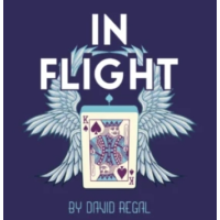 David Regal – In Flight 