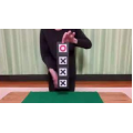 Wisdom of Magic - Flip Flop Magic Trick Wisdom of Magic - Flip Flop Magic Trick