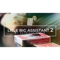 Patricio Teran - Little Big Assistant 2