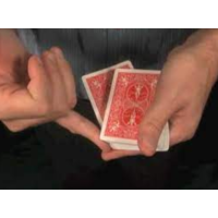 Jonathan Kamm - Palming Professional
