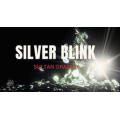 Sultan Orazaly - The Vault - Silver Blink Sultan Orazaly - The Vault - Silver Blink