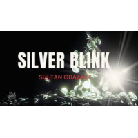 Sultan Orazaly - The Vault - Silver Blink