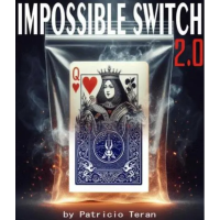 IMPOSSIBLE SWITCH 2.0 by Patricio Teran