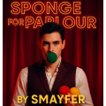 Sponge For Parlour by Smayfer Sponge For Parlour by Smayfer