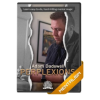 Perplexions by The 1914 and Adam Dadswell 