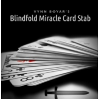 Vynn Boyar - Blindfold Miracle Card Stab