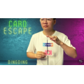 Dingding - The Vault - Card Escape Dingding - The Vault - Card Escape