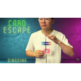 Dingding - The Vault - Card Escape