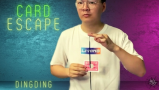 Dingding - The Vault - Card Escape