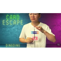 Dingding - The Vault - Card Escape