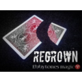 Ebbytones - Regrown Ebbytones - Regrown
