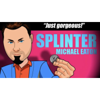 Splinter by Michael Eaton