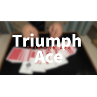 Triumph Ace By Miku W