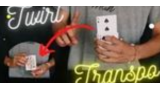 Anthony Vasquez - Twirl Transpo