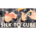 Yu Meng Jin - Silk to CUBE Yu Meng Jin - Silk to CUBE